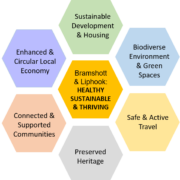 Hexagon describing Bramshott & Liphook as 'Healthy, Sustainable and Thriving'